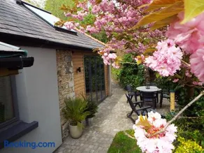 Beili Glas Cottage - Image 4