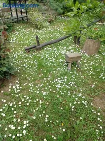 Skriveni raj - Image 2