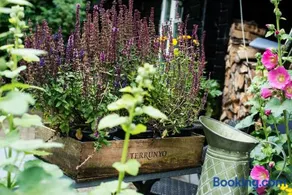 Grundfør bed and breakfast - Image 5
