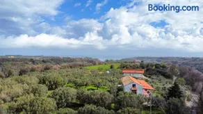 La Finestra sugli Ulivi - Image 1