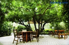 Rastoni Hotel Aegina - Image 4