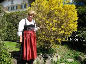 Apartements Ingrid Unhoch-Raggl - Image 3