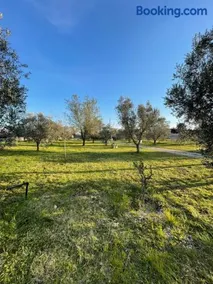 19th century Trullo Raeda in the middle of nature - Image 4