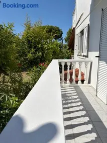 White Lotus Loft & Apartments - Image 2