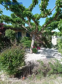 Le Cabanon d'Amandine et Gabriel - Image 2