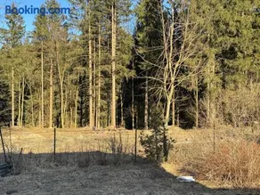 Pensjonat Leśniczówka Zieleniec - Image 3