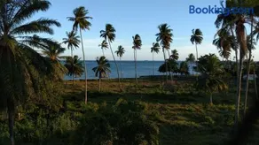 Ilha dos Corais - Image 4