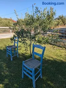 Pame Apartments Only Adults - Image 2