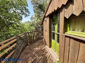 Cabane perchée de Lys dans les chênes verts et le micocoulier - Image 2