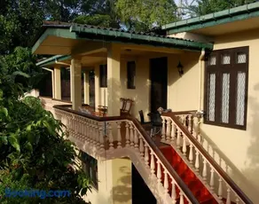 Evergreen - Image 3