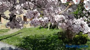 Casa La Escuela - Image 2