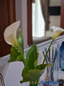 B&B Home Sweet Home - Image 3