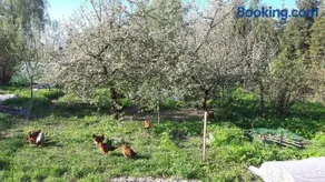Siedlisko Pauza - Image 1