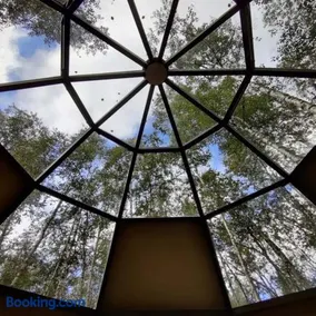 ECO LODGE Naturens egen luksus - Image 1