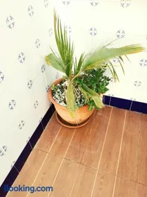 Casa Luna - Image 4