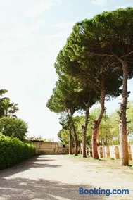 La Campina de Don Paulu - Image 1