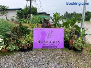 Rosemary Rayong - Image 1