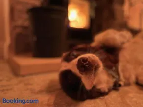 Muddy Paws Cottages - The Nook - Image 3