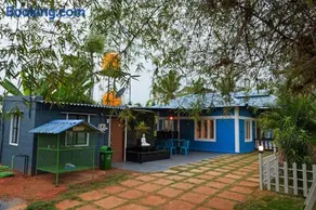 AVANI FARMS A family-owned natural organic farm - Image 3