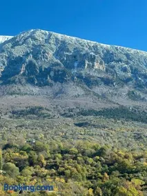 Bujtina Sakollari - Image 2