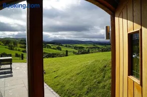 Foxes View - Image 3