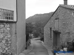Les lavandes - Image 2