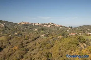 Tenuta di Caiolo - Image 2