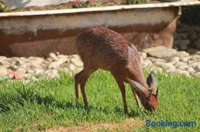 Grysbok Self Catering Accommodation - Image 5
