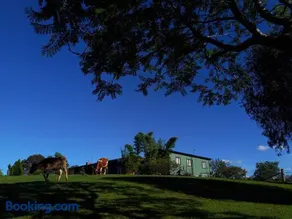 Maison de Lavande Farmstay - Image 5