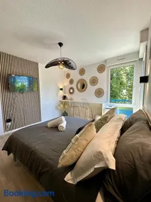 Studio MBS 1 - Cosy, Tram, Wifi, Parking, Equipé - Image 3
