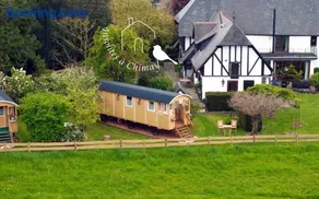 Insolites à Chimay - Les roulottes à Rièzes - Image 1