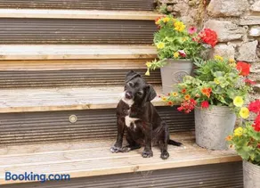 Pet-Friendly Logburner Horse Stable Views - Image 3