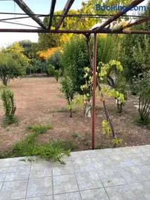 Cosy spot near the beach only 45 min from Athens - Image 2