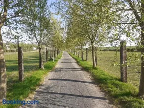 La Ligule - Cottages and children's farm - Image 4