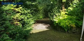 Ferienwohnungen-Waldblick-Wohnung-1 - Image 2