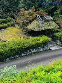 里山に触れる豊かなくらし 御所の宿 たゆむ - Image 5