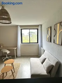 Le Cocon Griffon - parking, fibre, proche Toulouse - Image 2