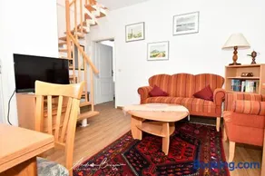 Schnieders-Wattwurm - Image 3