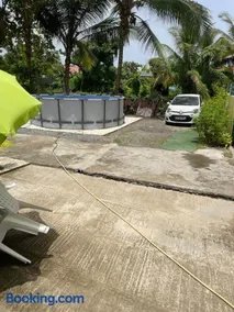 Hibiscus holiday - Image 4