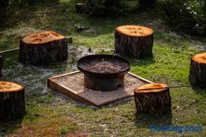 Beachcomber - Image 3