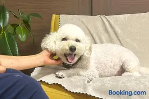 笑いあふれる乾杯を 小さなホテル ミセス マルベリー - Image 2