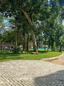 Villa Bianca - Image 5