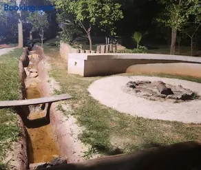 sitiolosbragas - Image 4