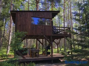 Tahkuna tree-house - Image 2