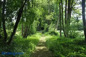Petit château de Beauplateau - Image 3