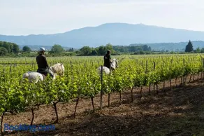 Château La Croix Des Pins - Image 4