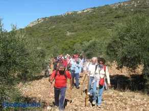 Cortijo "Era Grande 1" - Image 3