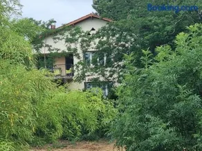 Brugou - Image 1