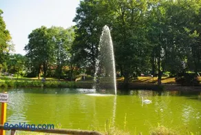 Ulrike's Pension am Kurpark - Image 3