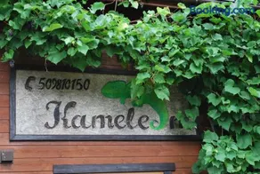 Kameleon Dźwirzyno - Image 2